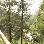 Vaara