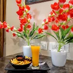Hotel Ambs Plaza Near Igi Airport Delhi