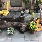 The Lazy Patio Homestay