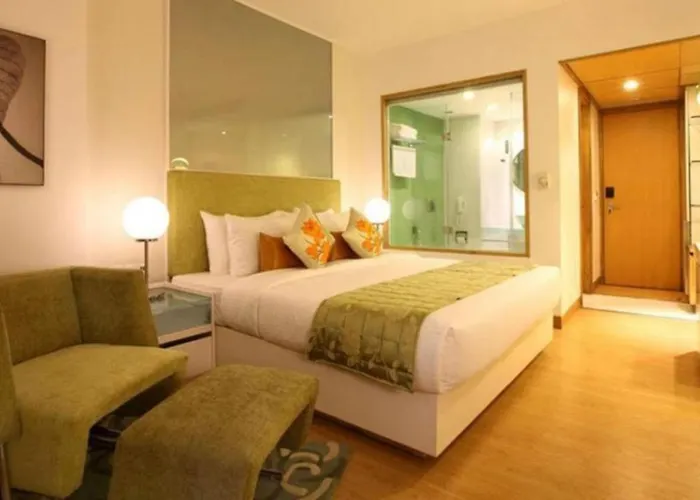 Hotel Olive Zone Near Delhi Airport
