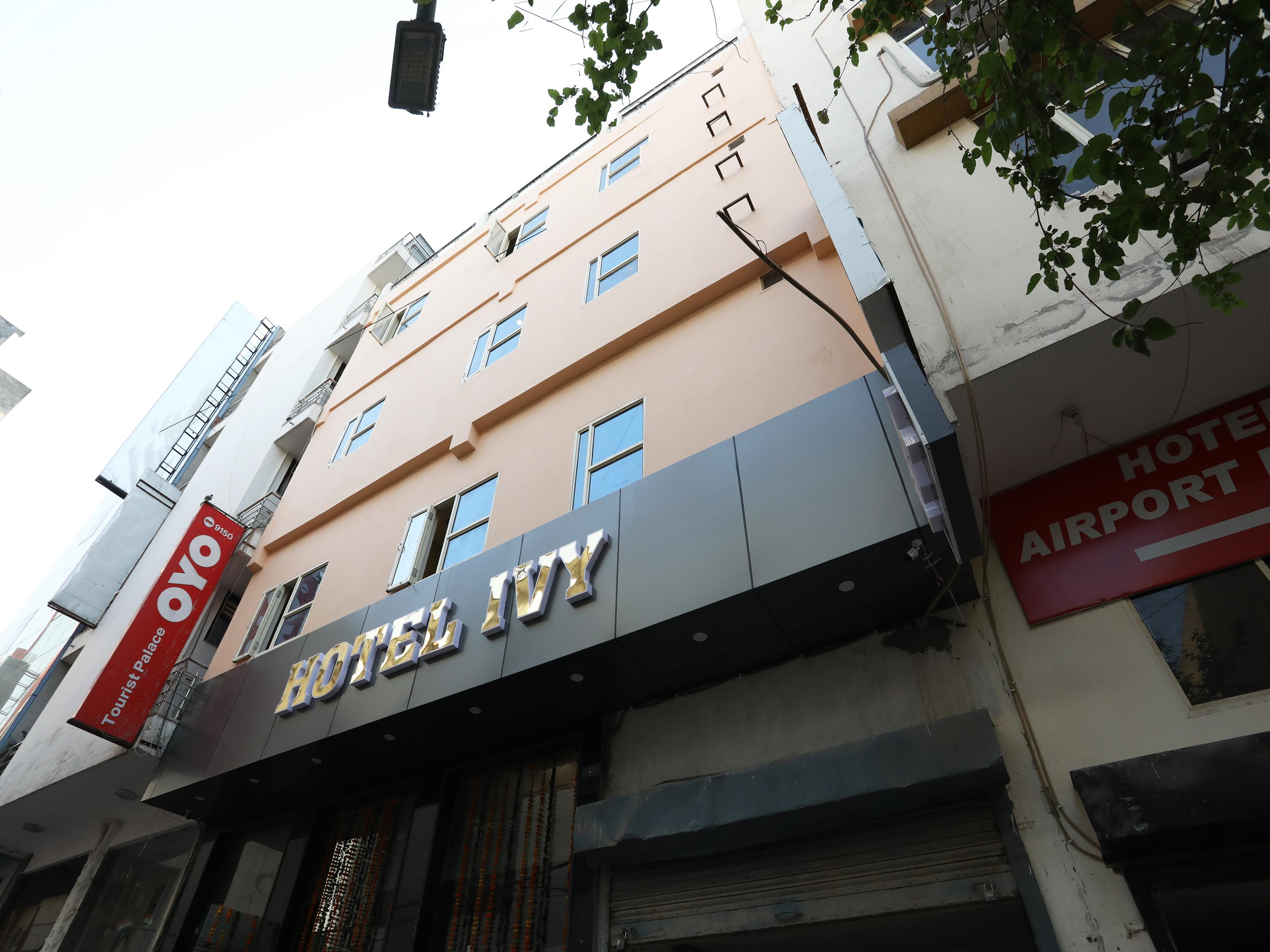 Ivy Hotel 3*