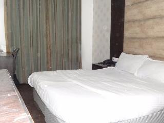 Hotel Benz International Delhi (National Capital Territory of India)