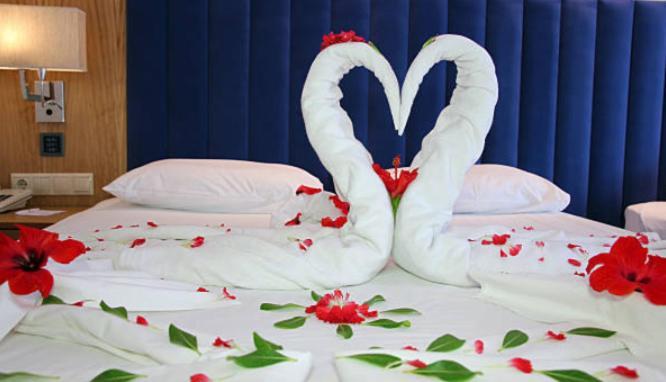 Hotel Bella In Prime Near Delhi International Airport Nova Deli