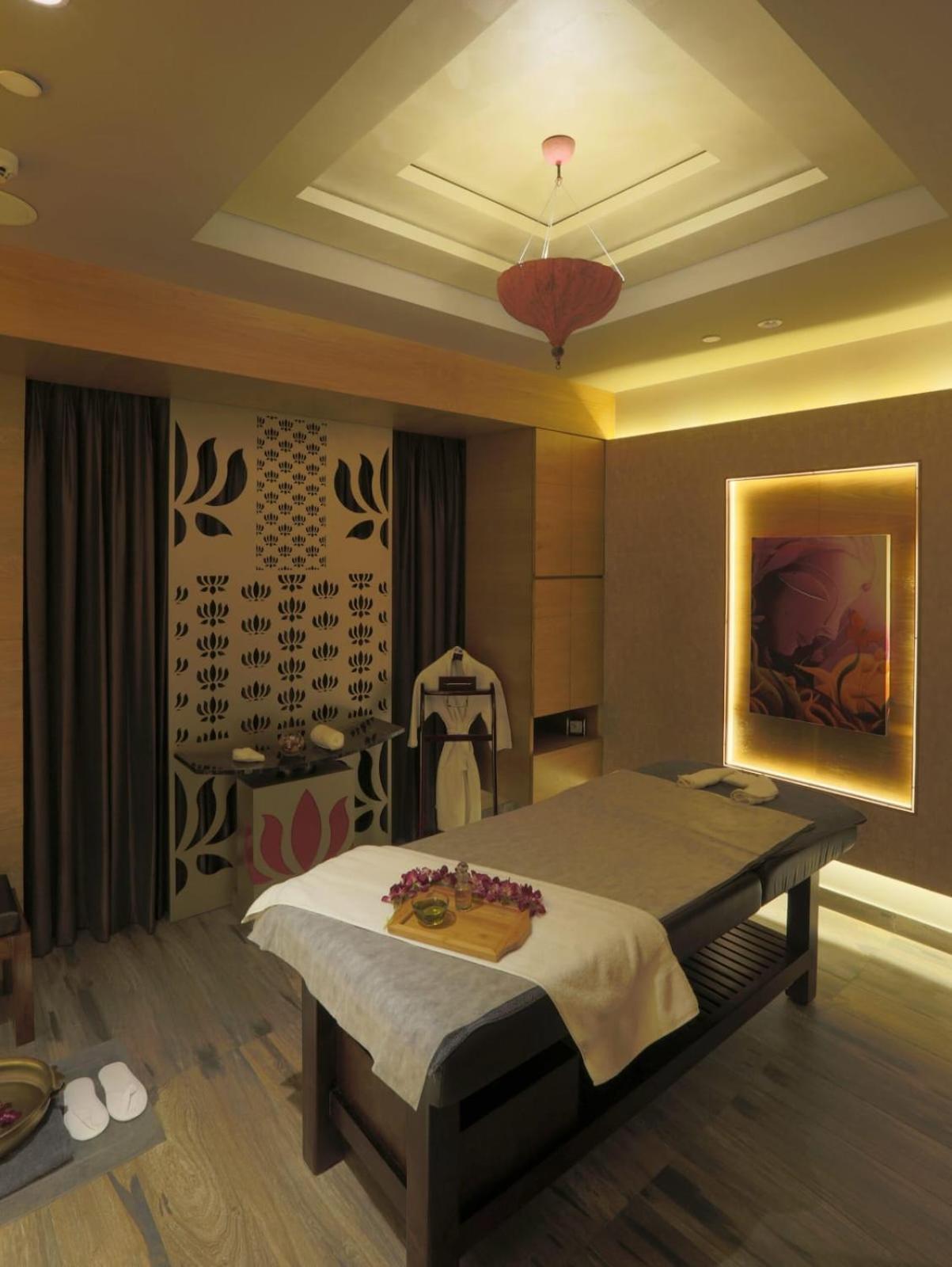 Park Delhi Airport By Prithvi Palace 4* New Delhi