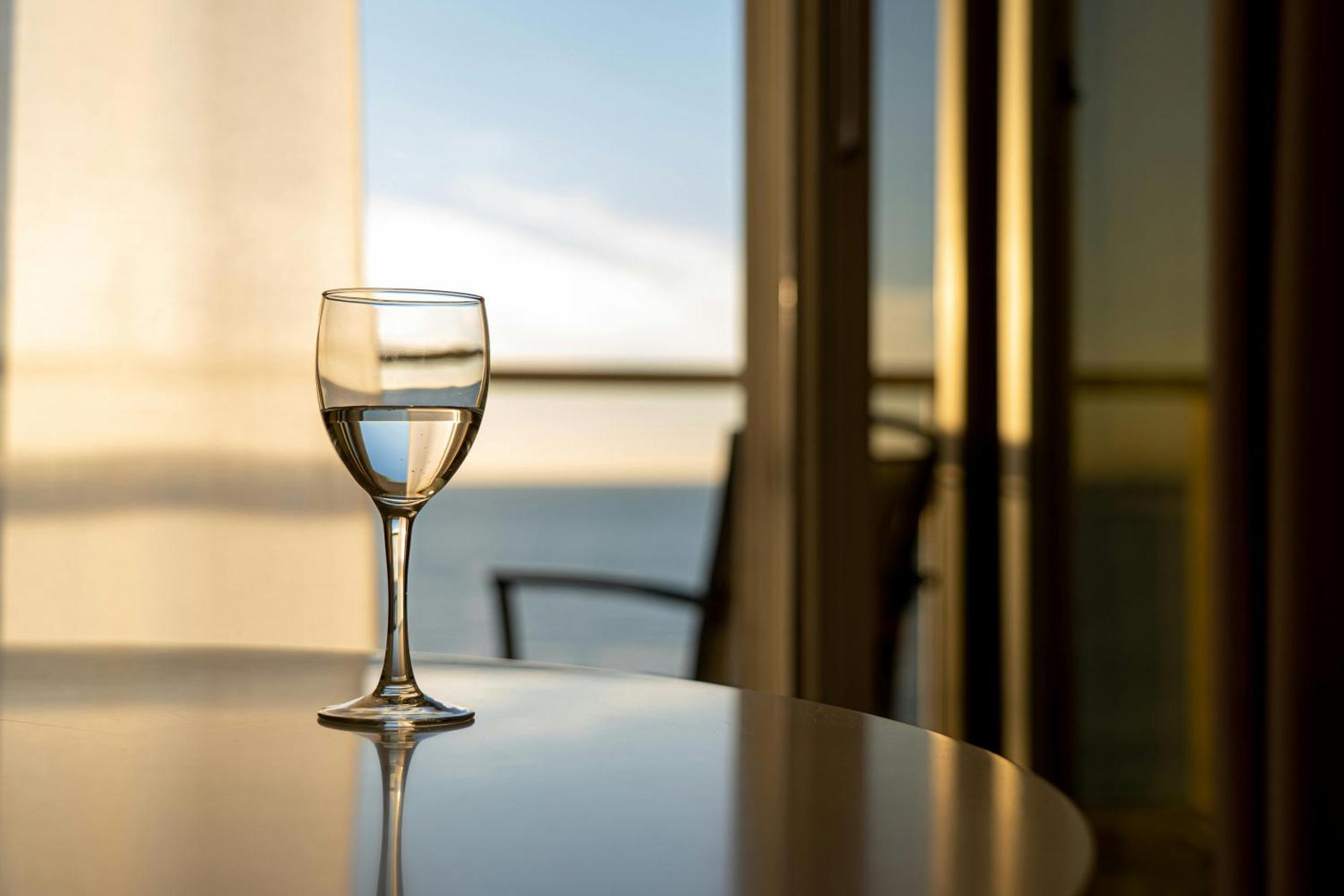 A Plaza A Family - Delhi Airport Hotel New Delhi
