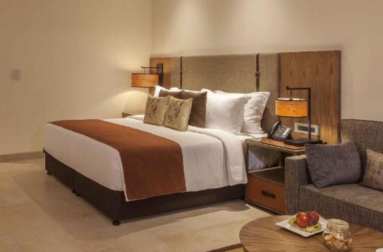 Hotel Plaza Near Igi New Delhi