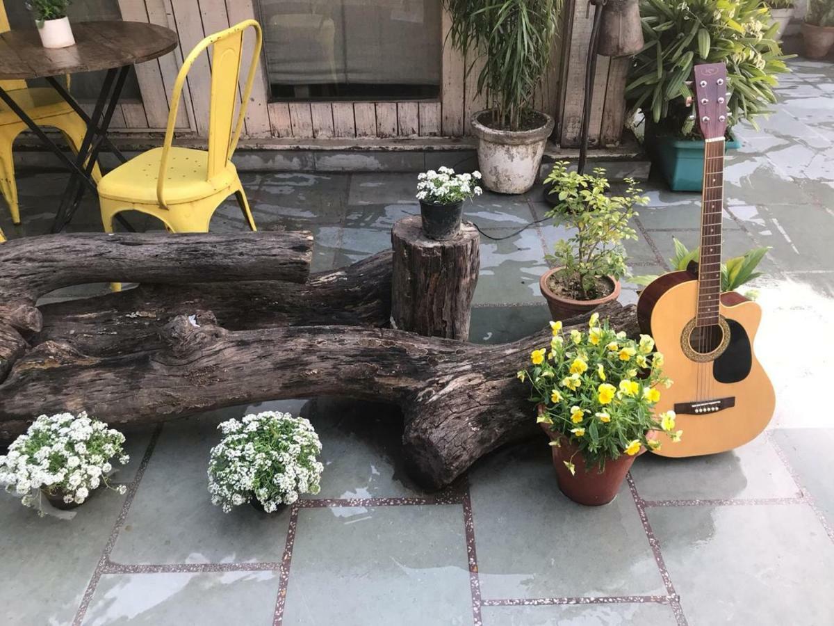 The Lazy Patio Homestay *