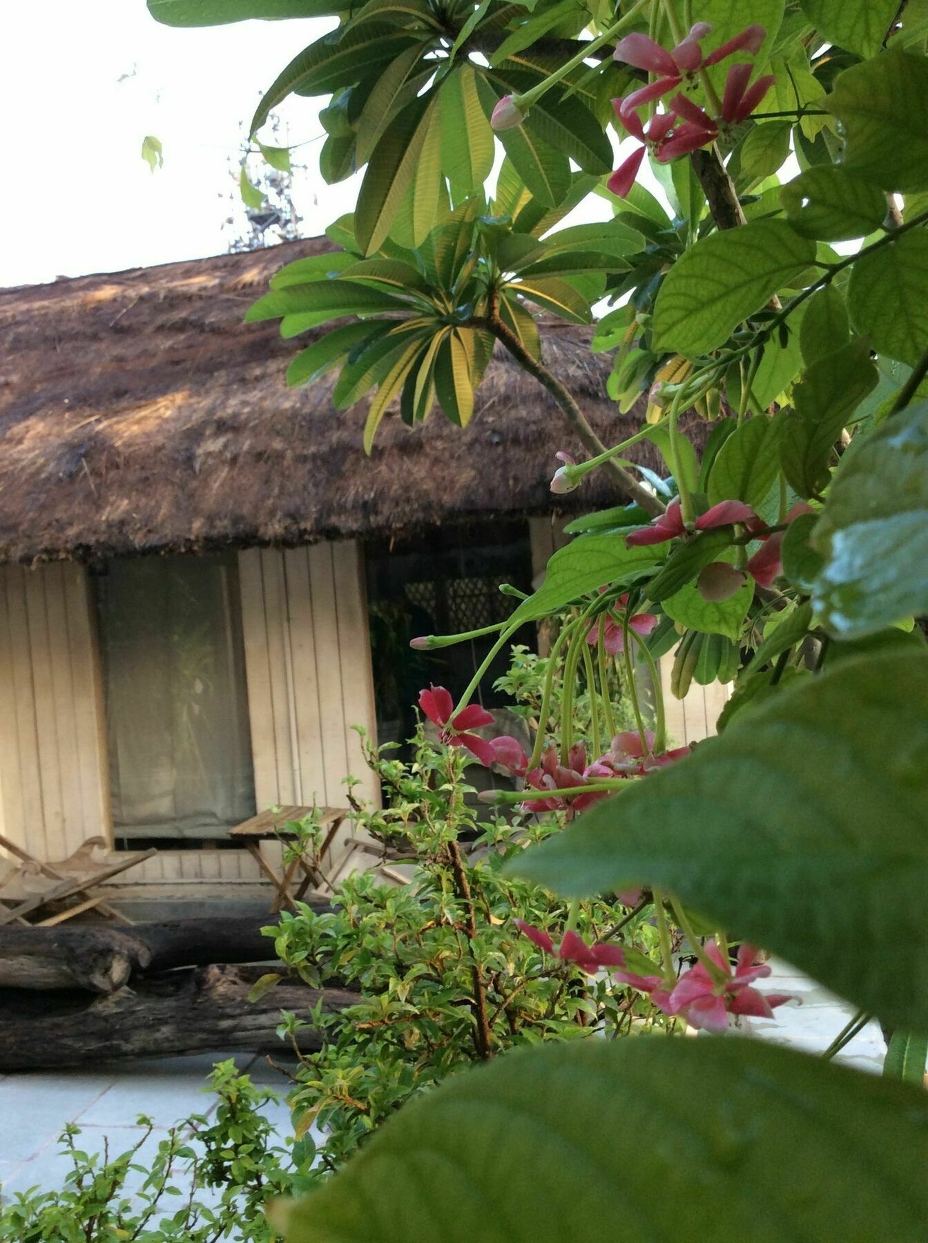 Homestay The Lazy Patio Homestay New Delhi