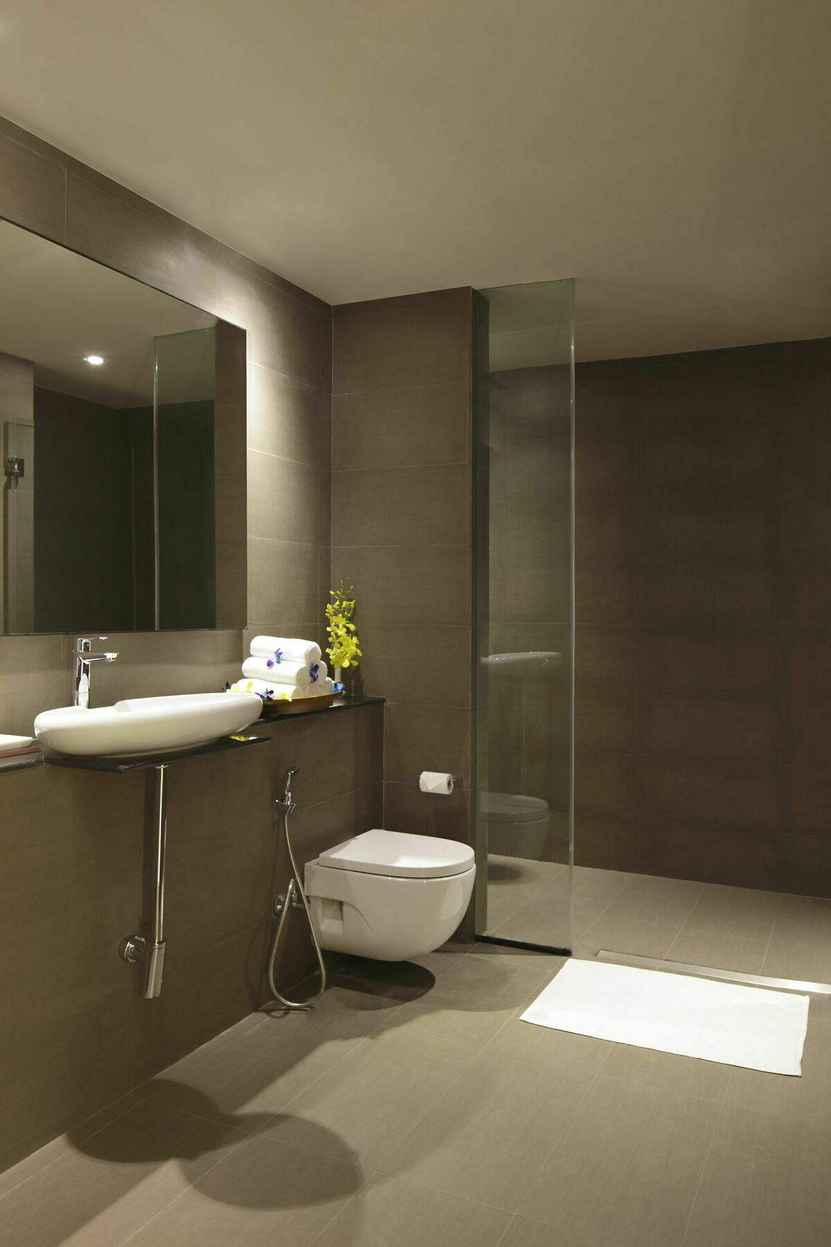 Express International Airport T3 By Ihg Hotel