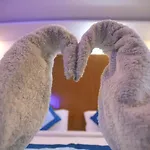 Hotel Aries