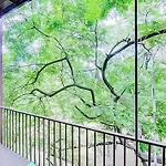 Roomshala 111 Cosy Nook - Hauz Khas
