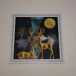 Divine India Service Apartment 1Bhk,L-36B,Saket