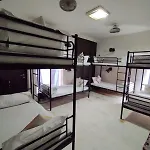 A Sleepy Fox Hostel