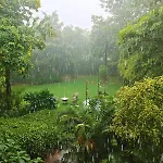 Sukoon Farm Stay