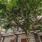 Oyo Flagship 84036 Welcome Stay