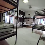 A Sleepy Fox Hostel