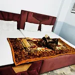 The Aziz Residency