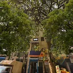Hotel O Unique Delhi Home Stay