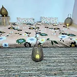 The Comfort Cove