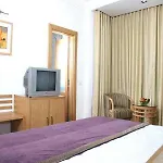 Dolphinn