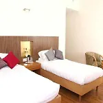 Dolphinn