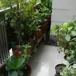 The Banyan Tree House