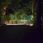 Roots Hostel