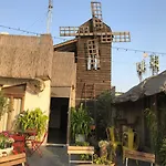 The Lazy Patio Homestay