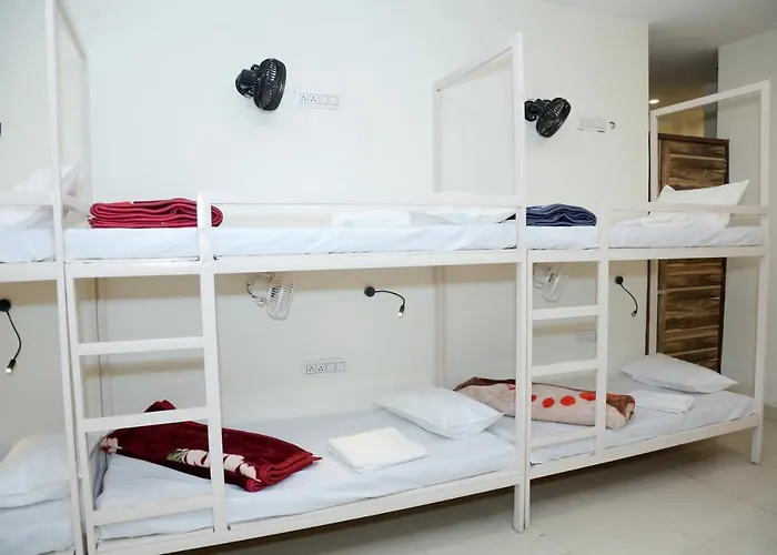 The Charlie\'S Hostel