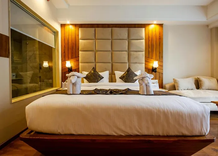 Airport Delhi Aerocity Inn Plaza