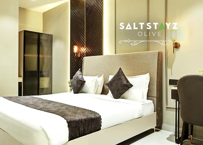 Saltstayz Select - Pitampura