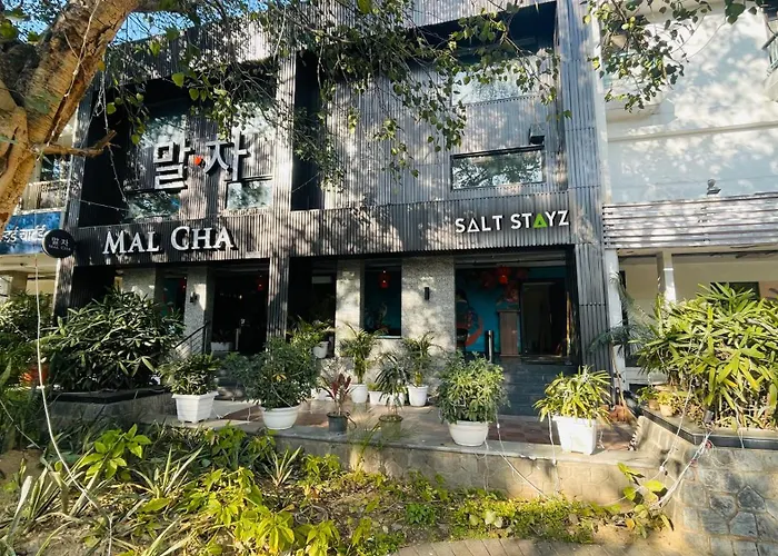 Saltstayz Select - Malcha & Chankyapuri