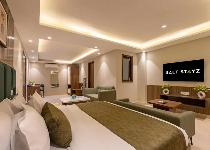 Saltstayz Premier - Paschim Vihar