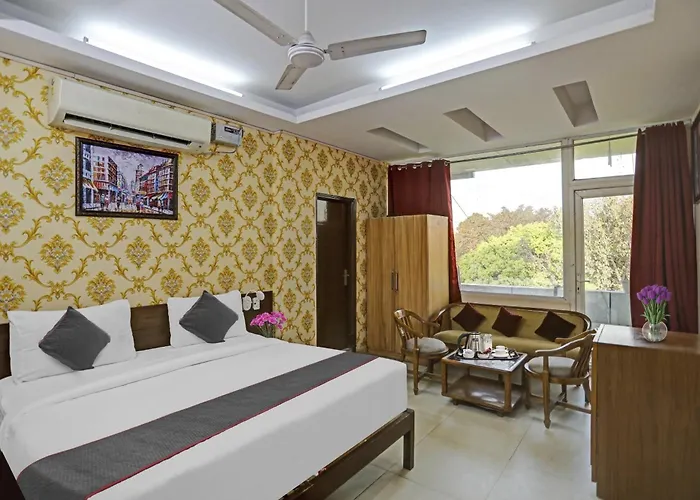 Oyo Townhouse Green Park Residency 3