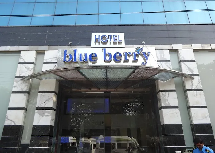 Blueberry