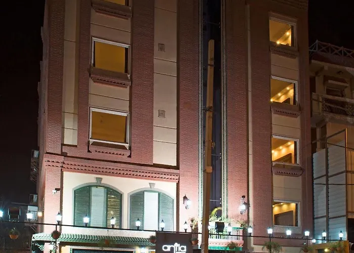 Anila Hotel Naraina Vihar New Delhi
