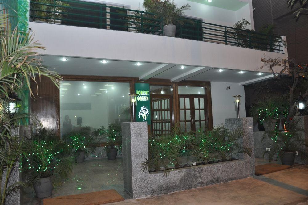 Oyo 367 Forest
