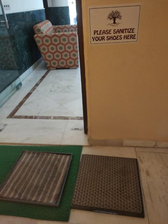 Bed & Breakfast Peepal Tree Residency New Delhi