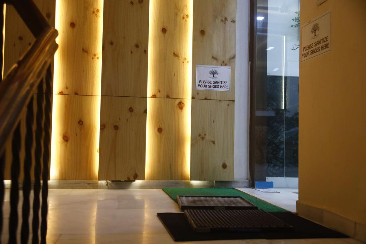 Peepal Tree Residency Bed & Breakfast New Delhi