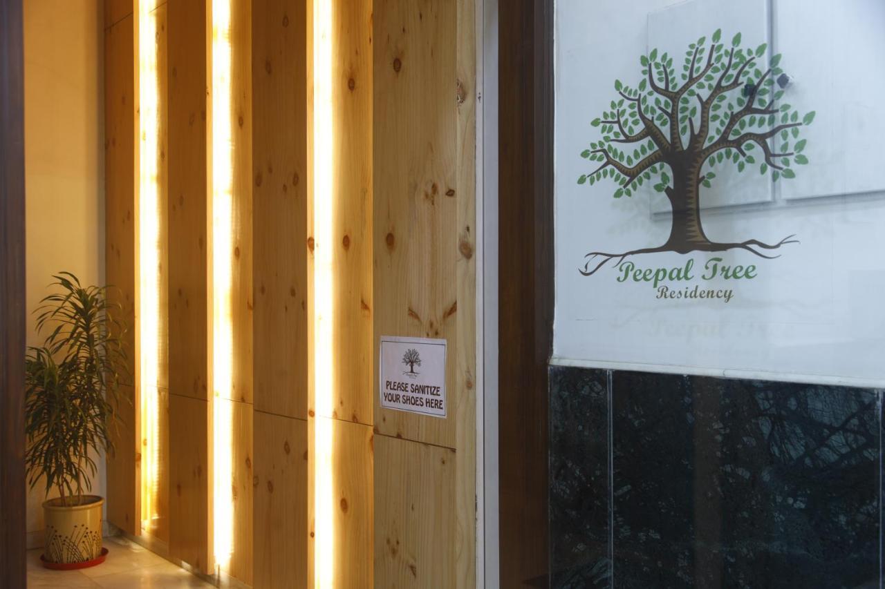 Peepal Tree Residency Bed & Breakfast