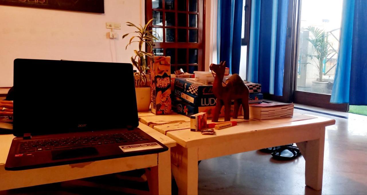 A Sleepy Fox Hostel New Delhi