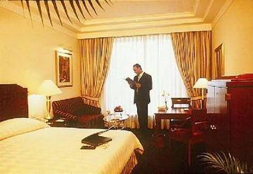 Hotel Sheraton New Delhi