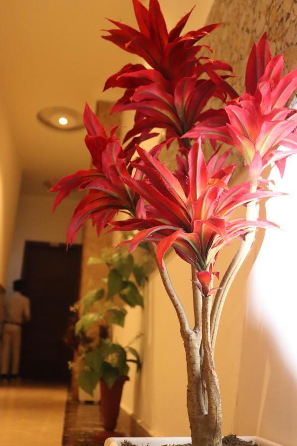 Urban Luxury 3* New Delhi