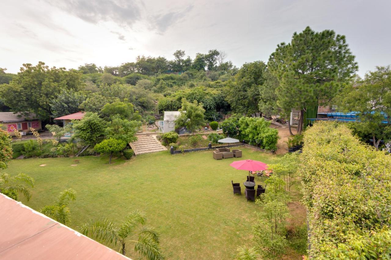 Avanti Retreat- Farm Dera Māndi