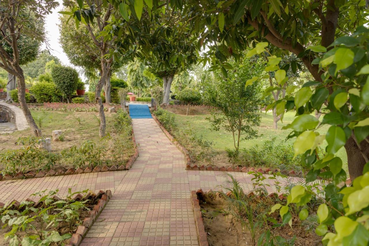 Avanti Retreat- Farm *