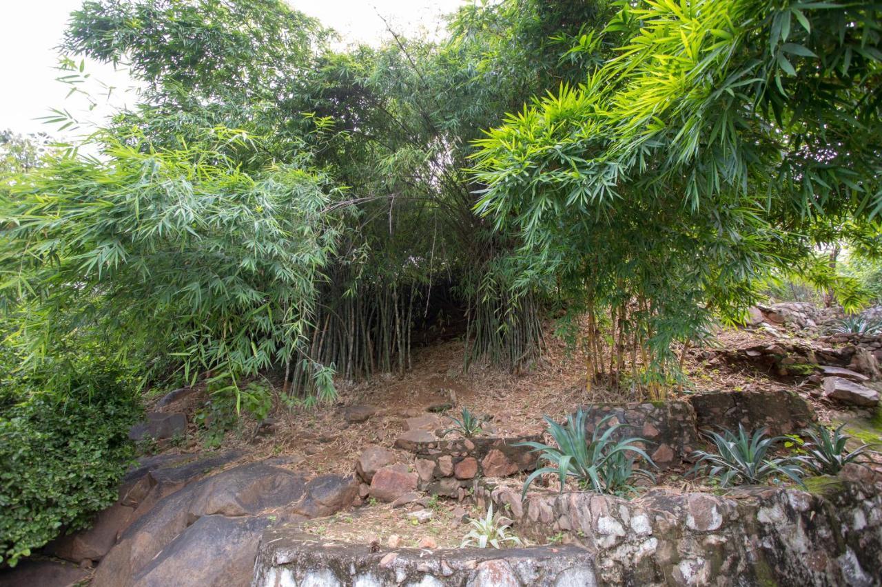 Avanti Retreat- Farm * Dera Māndi