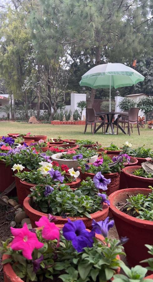 The Stay Inn New Delhi Acomodação com café da manhã  3*