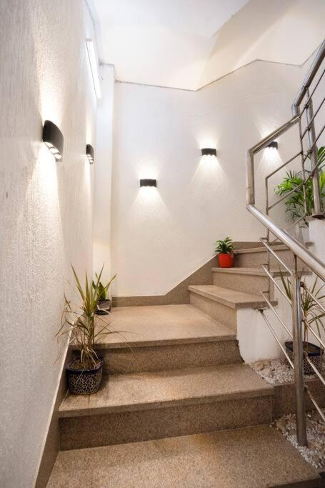 Homlee-basement Flat With Kitchen In Saket, South Delhi New Delhi
