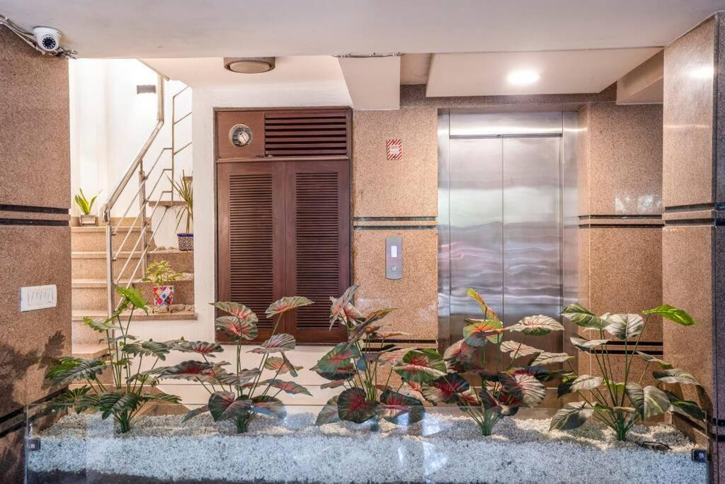 Apartment Homlee-basement Flat With Kitchen In Saket, South Delhi New Delhi