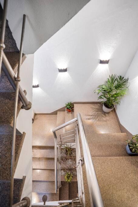 Homlee-basement Flat With Kitchen In Saket, South Delhi Apartment *